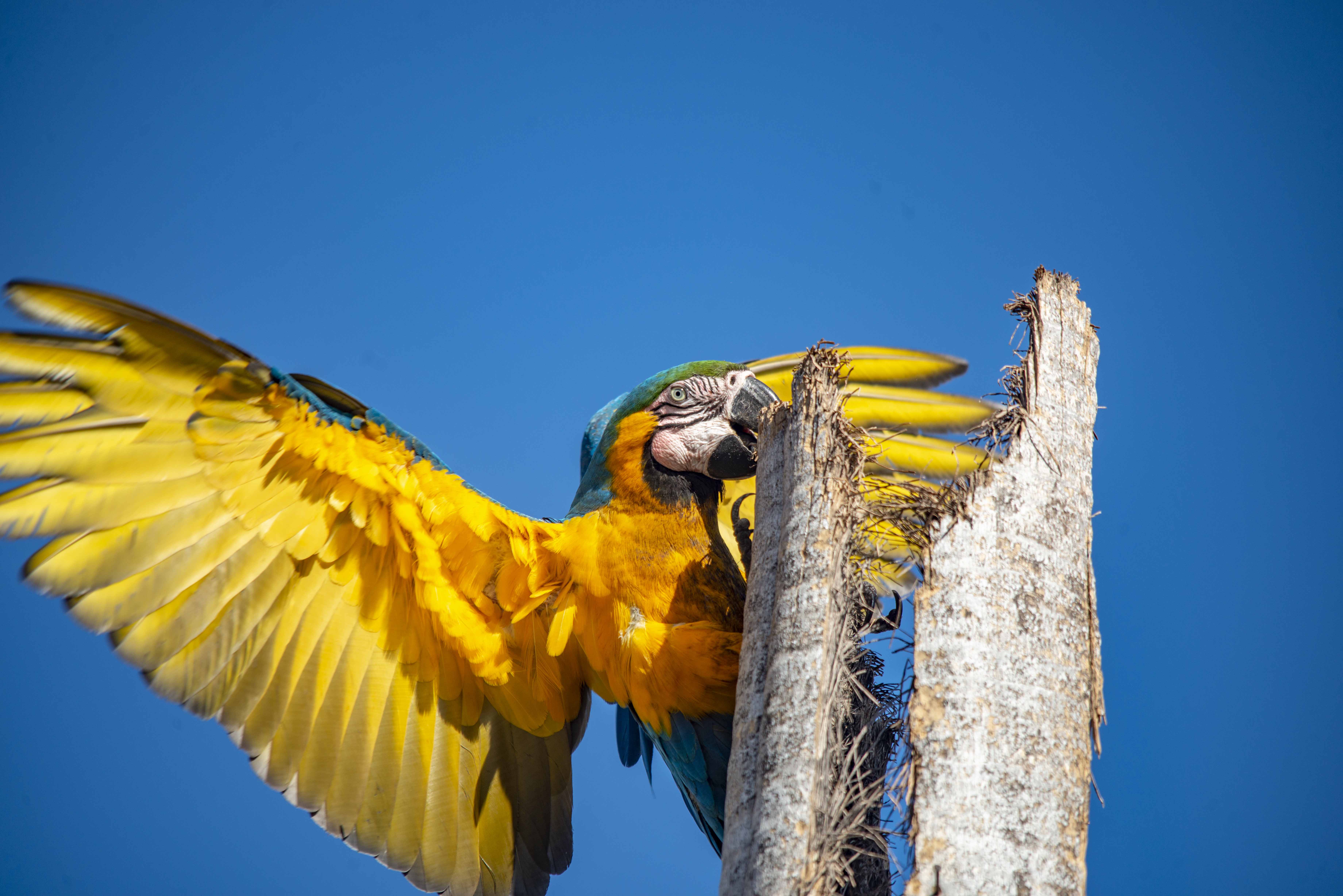 Informações secretaria