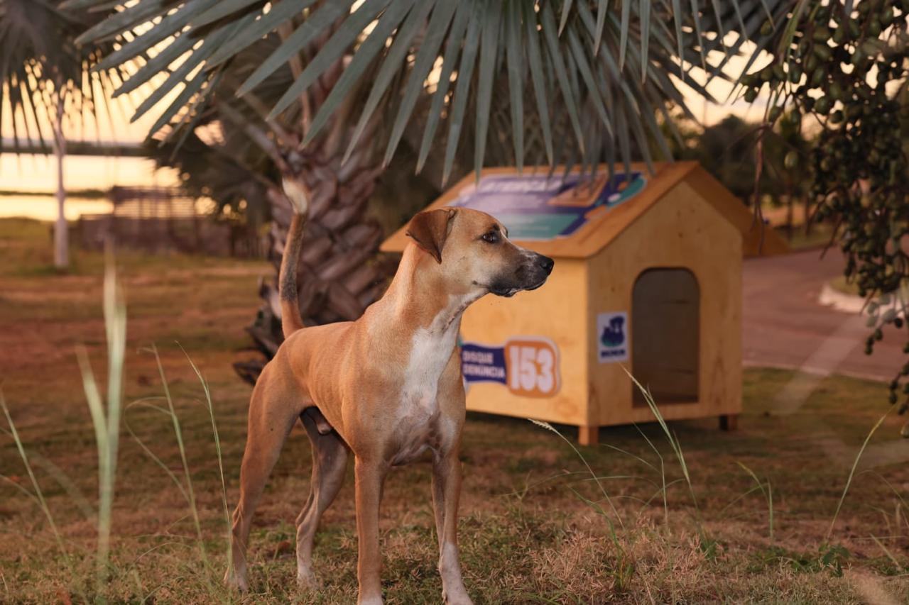 Informações secretaria